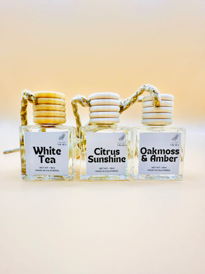 White Tea, Citrus Sunshine, Oakmoss and AMber car diffusers in glass bottles